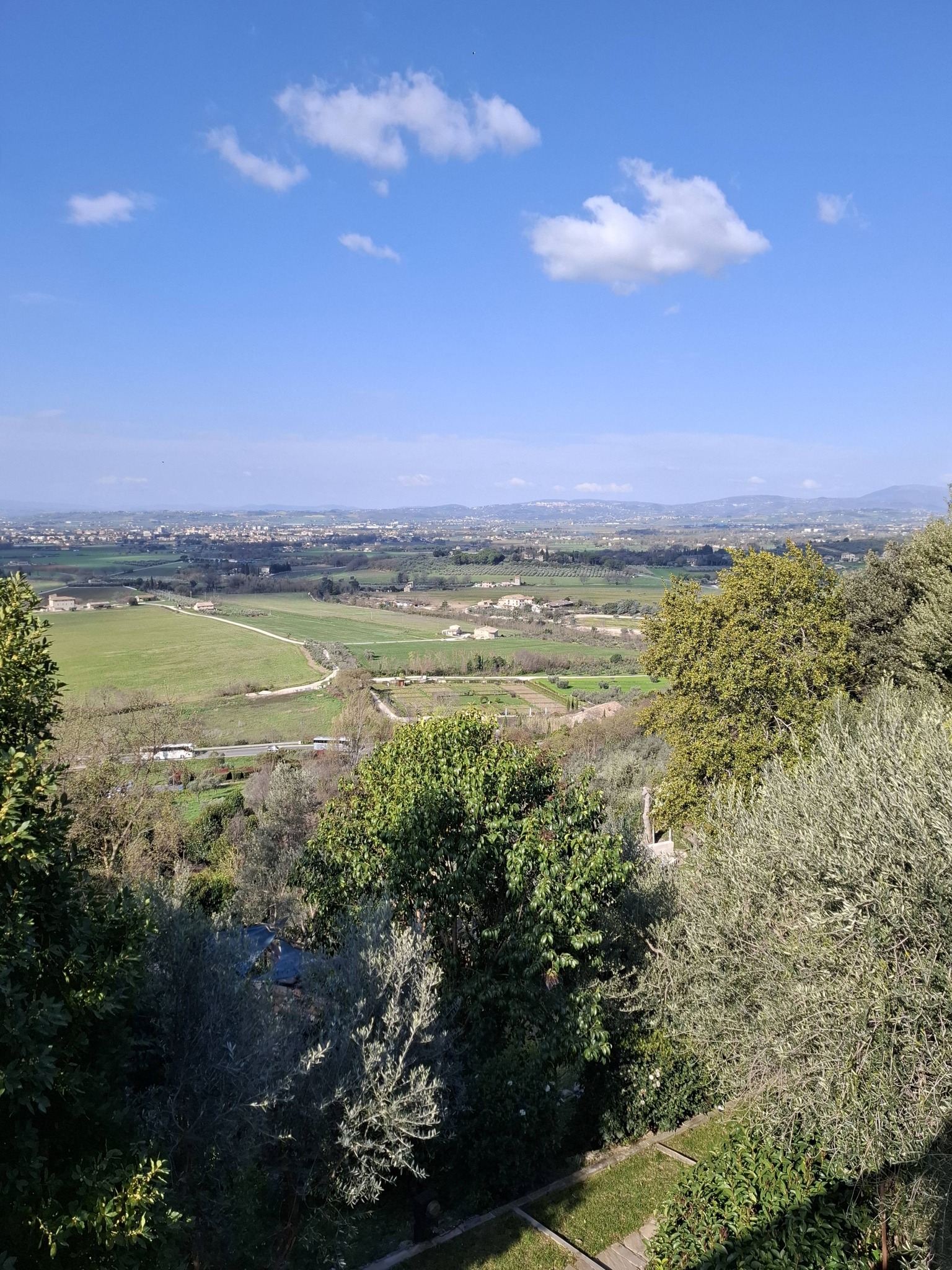 653808082 4266044973724735 5033642489347665178 n