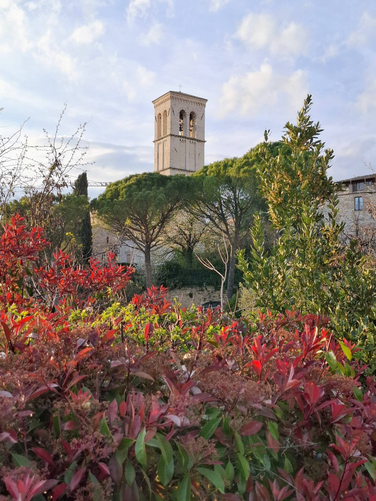 658451503 4276468189349080 4484027121542531601 n