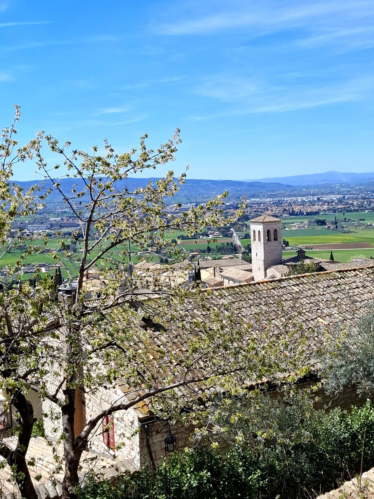 666568307 4285913248404574 5855699657096977548 n